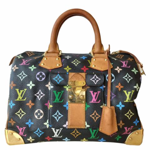 Sell Louis Vuitton Monogram Black Multicolor Speedy Bag